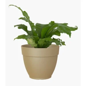 Cesta Colgante con Malla Artevasi Macetero Verde Plástico Campana Capri 20cm