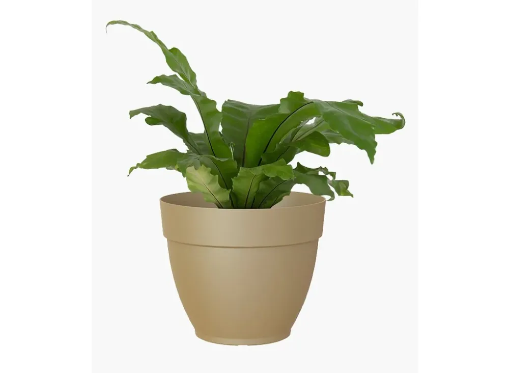 Cesta Colgante con Malla Artevasi Macetero Verde Plástico Campana Capri 20cm