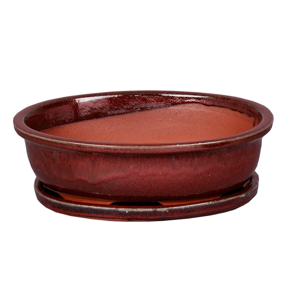Maceta bonsai asuka+plato rojo