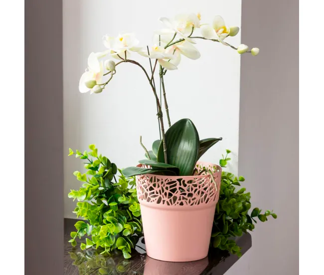 Maceta De Plastico Tree En Color Mocca 17,5 prolongado X 17,5 (Ancho) X 17,9 (Alto) Cm