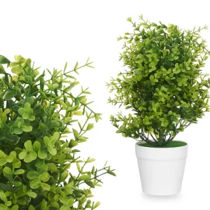 Premium de Alta Calidad PLANTA VERDE CON MACETA BLANCA