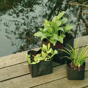 Bolsa de plantación estanque cuadrada | Incluye Garantí de 2 ños