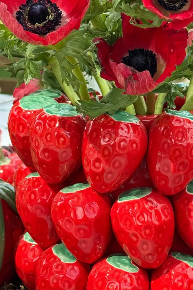 Bomba para Fuente Vaso Design Morango Em Relevo
