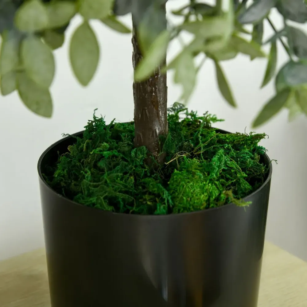 Pack de 2 arboles Overton Homcom imitación árbol de té verde 55 cm