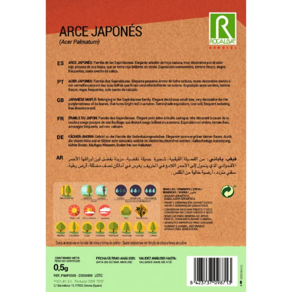 Semillas de Arce japonés Acer palmatum con Alto Rendimiento