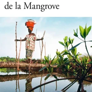 Traversée de la Mangrove