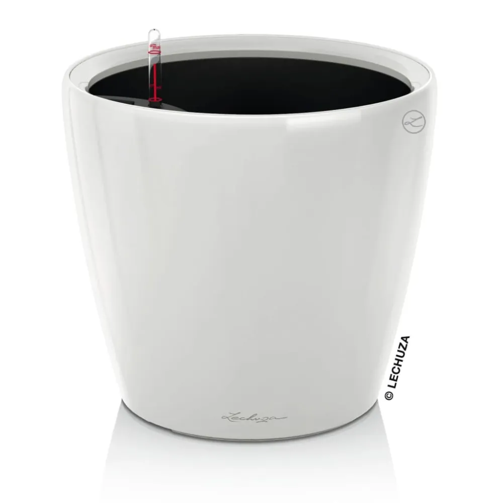 Lechuza macetero de mesa classico ls 21 multifunción banco brillo de Madera de Cedro