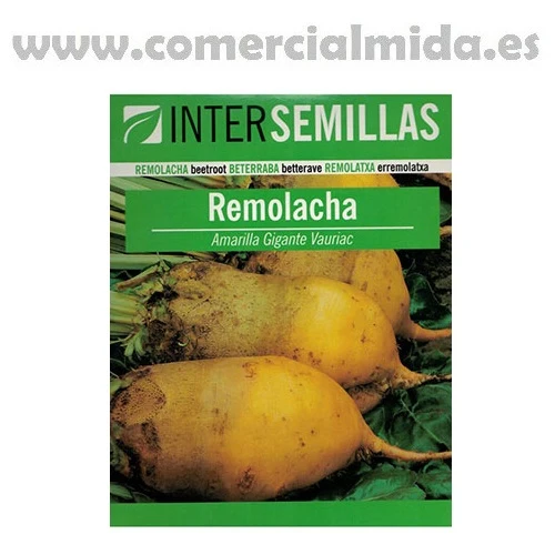 Lámpara LED de Espectro Completo Semillas de REMOLACHA FORRAJERA AMARILLA Intersemillas 250g