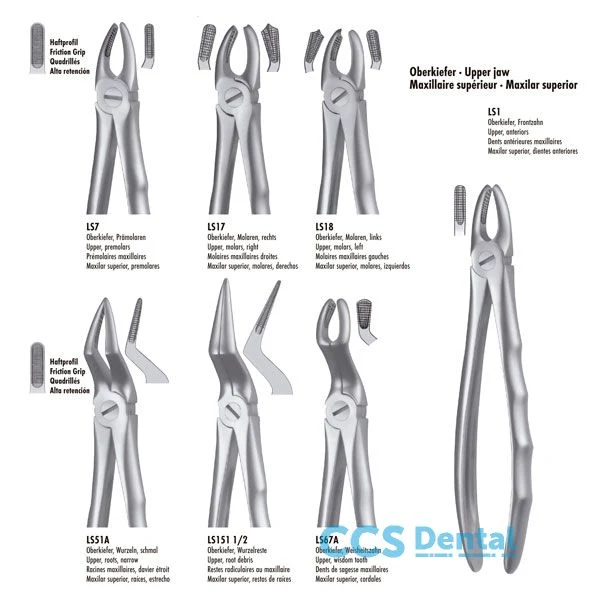 Ls51A Forceps Raices Sup. Liquid Inoxidable
