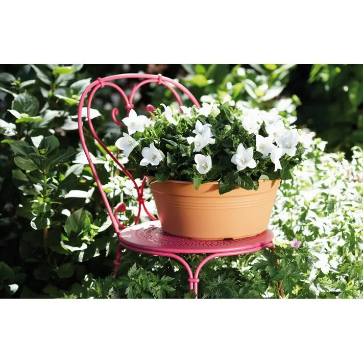Bowl redondo Menta Basics Elho Terra 27 cm en Bronce Envejecido
