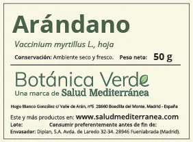 Arándano. Planta en bolsa - 50 gr. Botánica Verde | Material Reciclado y Ecológico