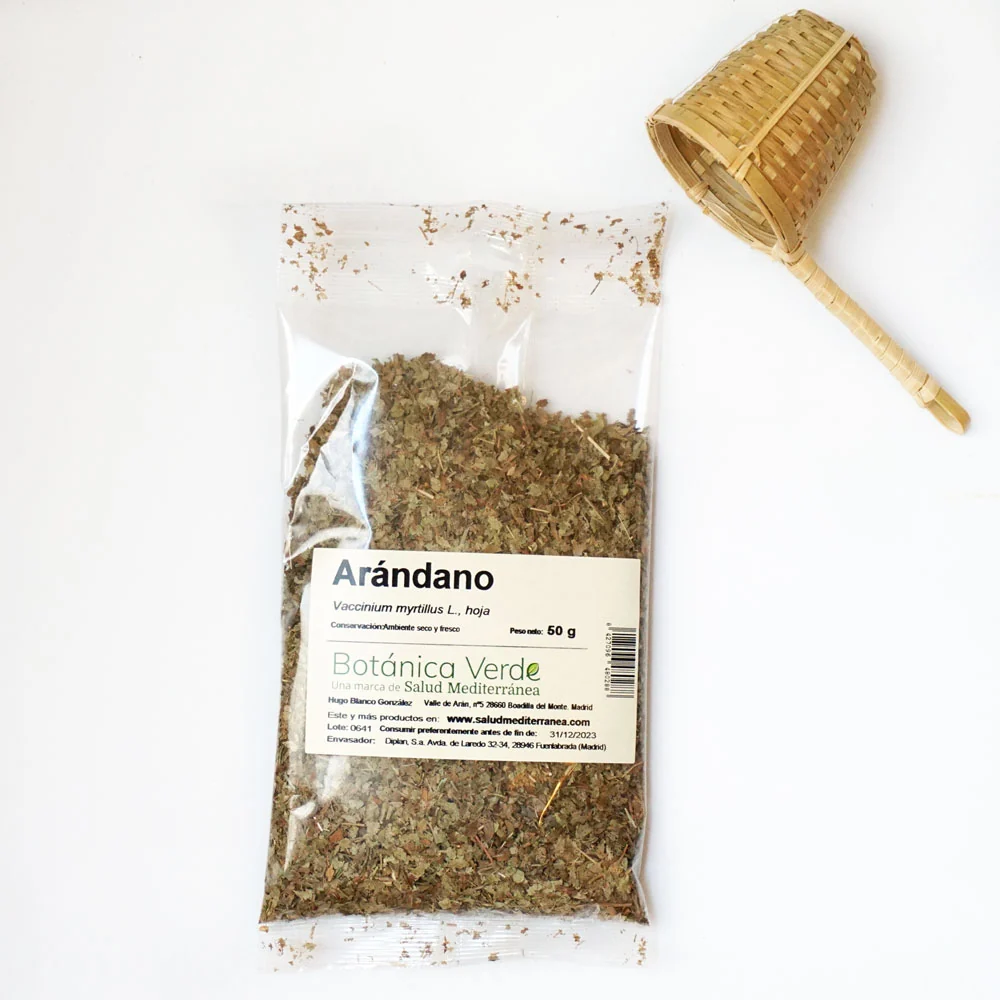 Arándano. Planta en bolsa - 50 gr. Botánica Verde | Material Reciclado y Ecológico