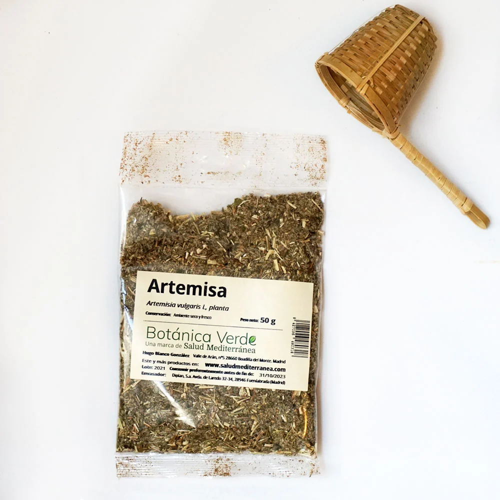 Artemisa. Planta en bolsa - 50 gr. Botánica Verde en Color Terracota