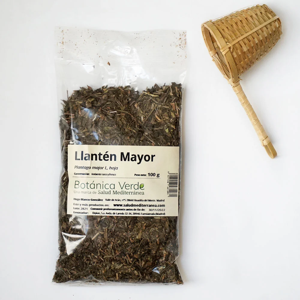 Llantén en hoja. Planta en bolsa - 100 gr. Botánica Verde con Sistema de Autoriego