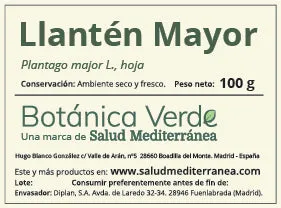 Llantén en hoja. Planta en bolsa - 100 gr. Botánica Verde con Sistema de Autoriego