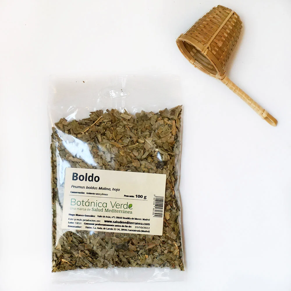 Plato de Drenaje Profundo Boldo en hoja. Planta en bolsa - 100 gr. Botánica Verde