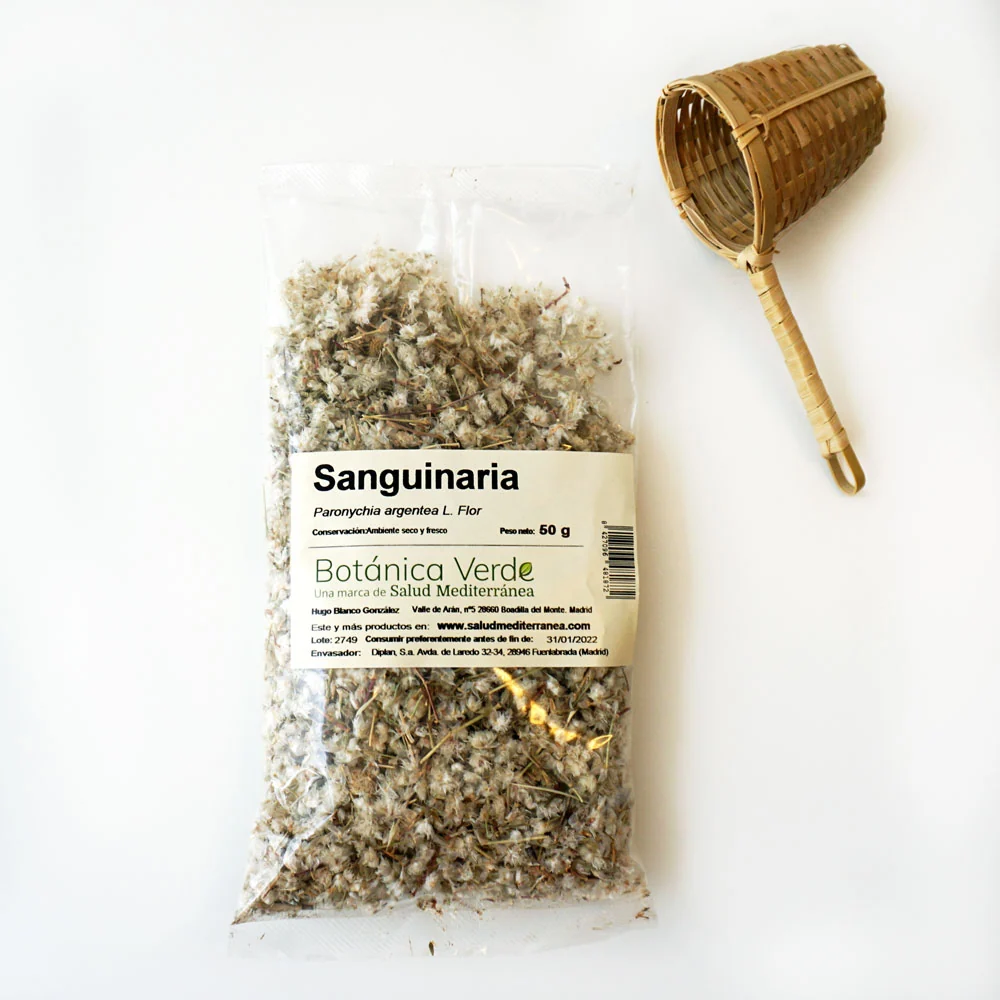 Sanguinaria en flor. Plantas en bolsa - 50 gr. Botánica Verde con Drenaje Mejorado