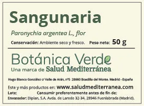 Sanguinaria en flor. Plantas en bolsa - 50 gr. Botánica Verde con Drenaje Mejorado