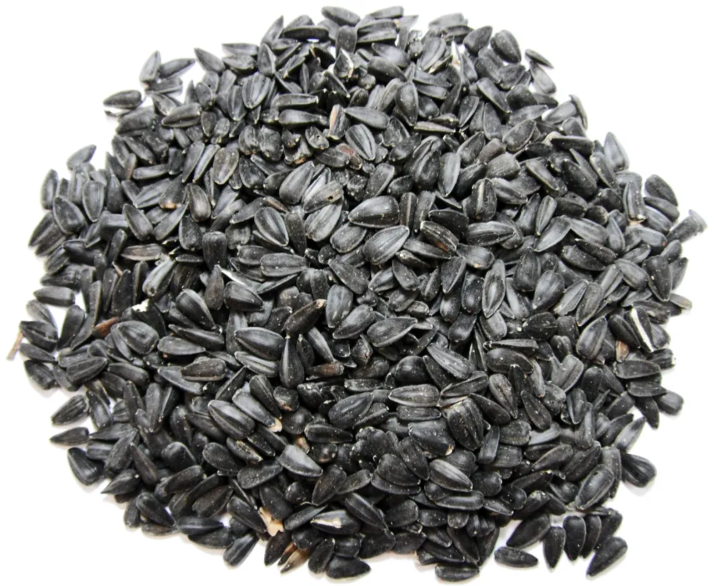 Semillas de girasol con aceite negro Chuckanut 19789 de 10 libras Nature's Nuts