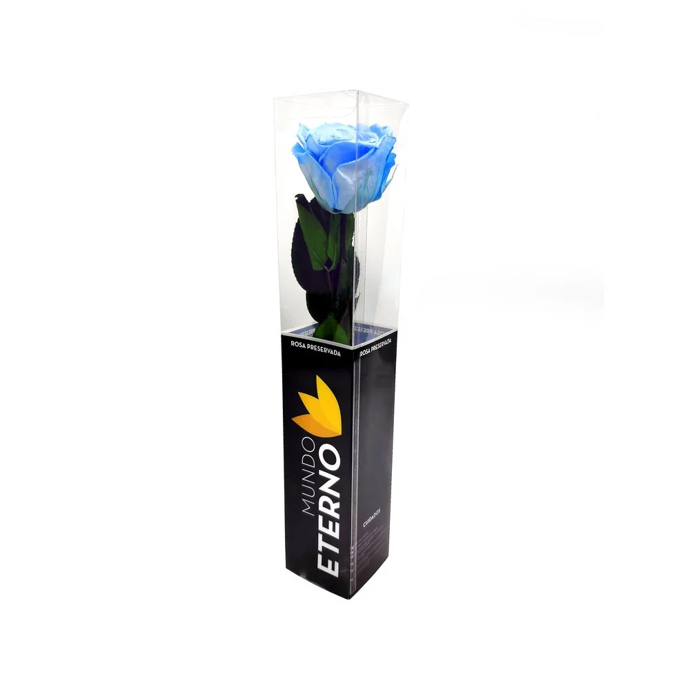 Mundo Eterno Rosa Preservada Azul Nítido 35cm