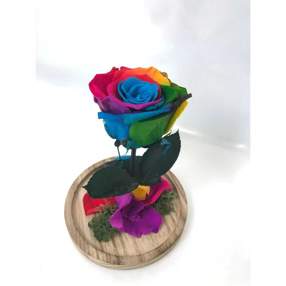 Variedad de Jardín Mundo Eterno Rosa En Cúpula Policromático 12x20cm