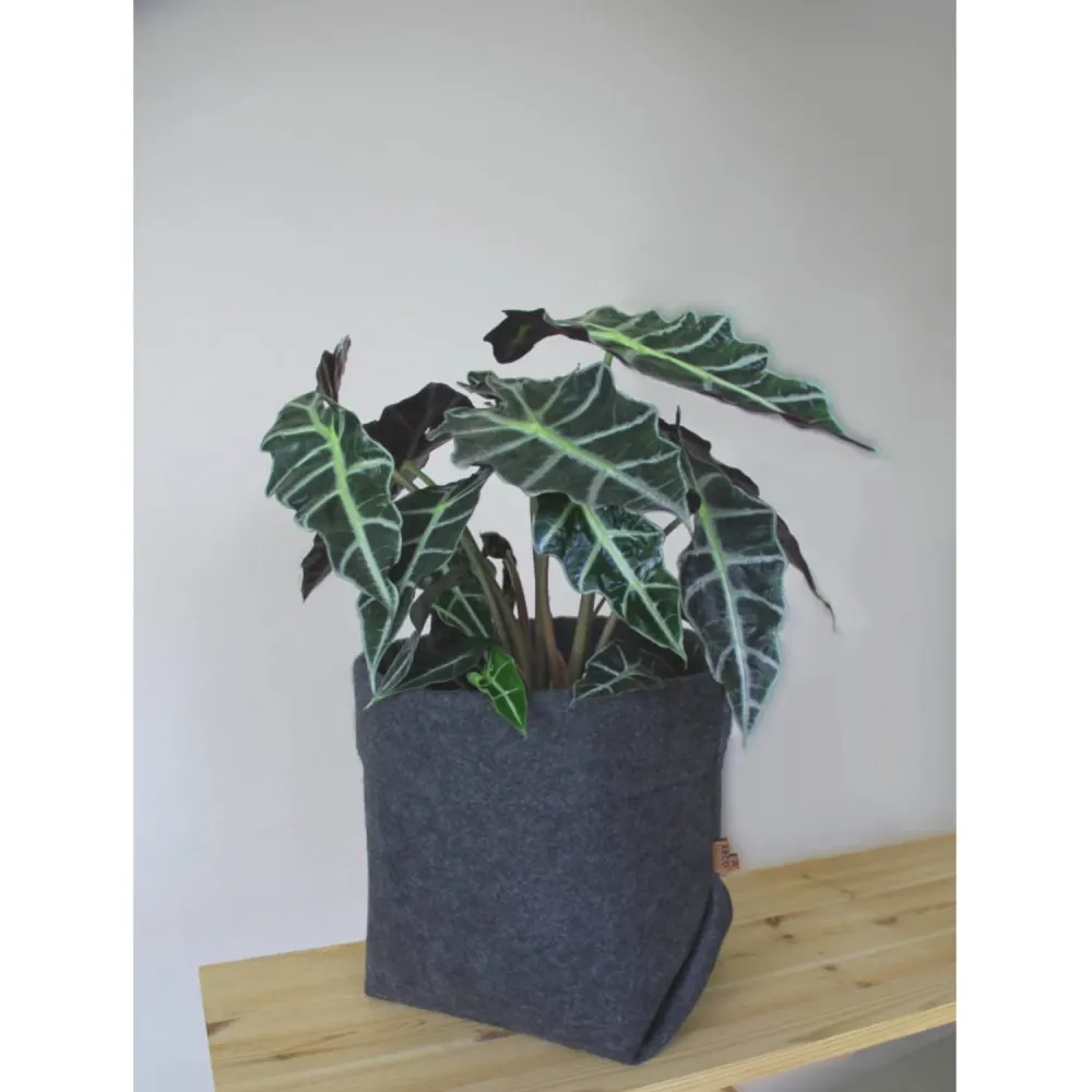 Arco Design EE016 Portaflores de fieltro maceta Tamaño sencillo XL - 25 cm
