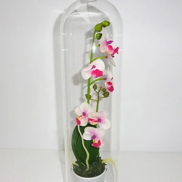 Maceta con orquídea artificial y cúpula de cristal 40 cm blanco con Drenaje Mejorado