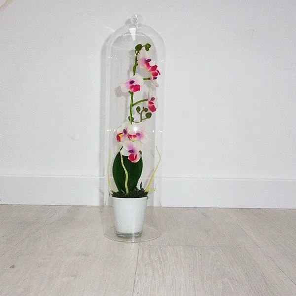 Maceta con orquídea artificial y cúpula de cristal 40 cm blanco con Drenaje Mejorado