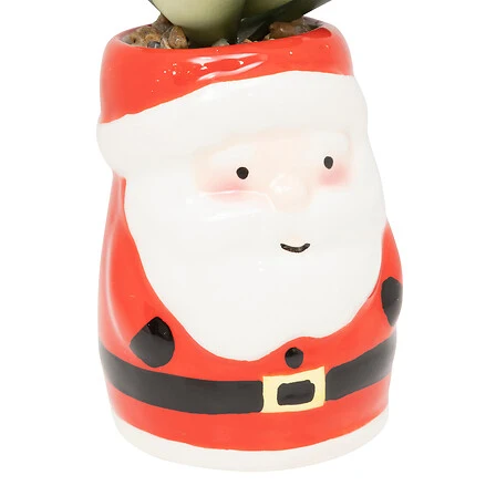 Planta en maceta cerámica decoración Navidad, 11 cm de esbelto, surtido con 3 Macetas de Diferentes Tamaños