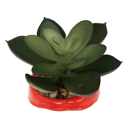Planta en maceta cerámica decoración Navidad, 11 cm de esbelto, surtido con 3 Macetas de Diferentes Tamaños