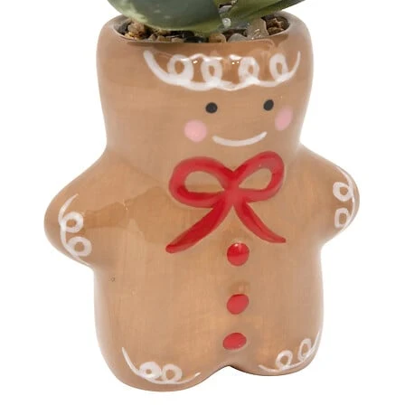 Planta en maceta cerámica decoración Navidad, 11 cm de esbelto, surtido con 3 Macetas de Diferentes Tamaños