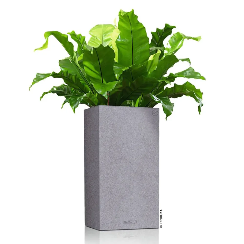Sistema de Jardín Vertical Modular Lechuza macetero canto stone 40 high integrado gris piedra