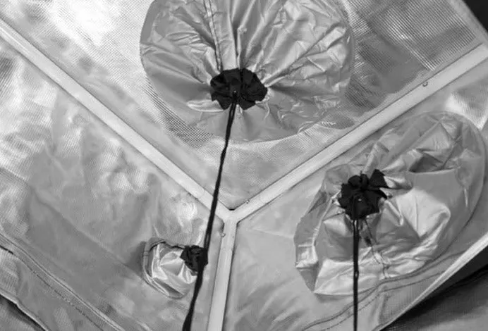 Bandeja con Tapa Gorilla Grow - Carpa de Cultivo 5' x 9'