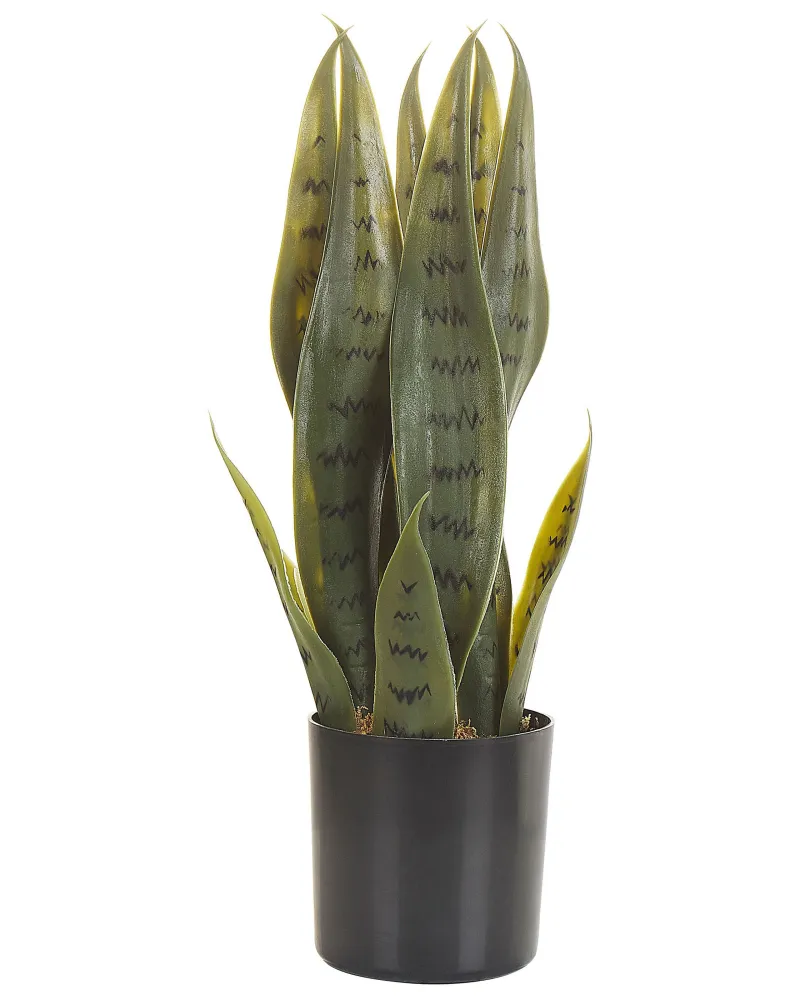 Certificado para Exteriores Planta artificial en maceta verde/negro 40 cm snake plant