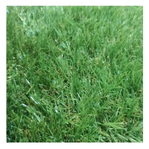 Cesped Artificial| 1X2M espacioso X Largo)| Grosor 20MM| Suave| Mullido| Jardin Exterior| Tipo Sintético para Jardín y Ter...