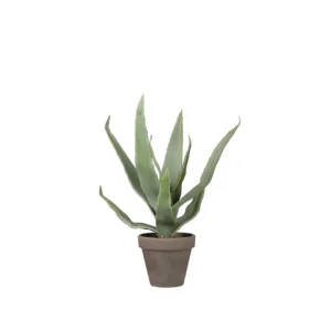 Planta artificial ALOEVERA marca MYCA Fácil Instalación