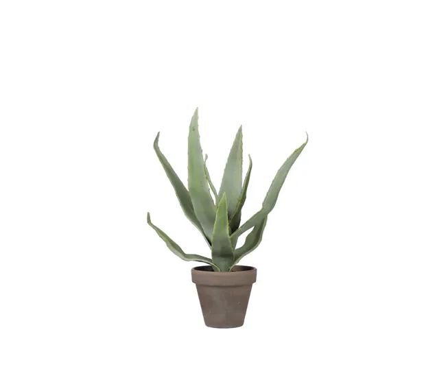 Planta artificial ALOEVERA marca MYCA Fácil Instalación