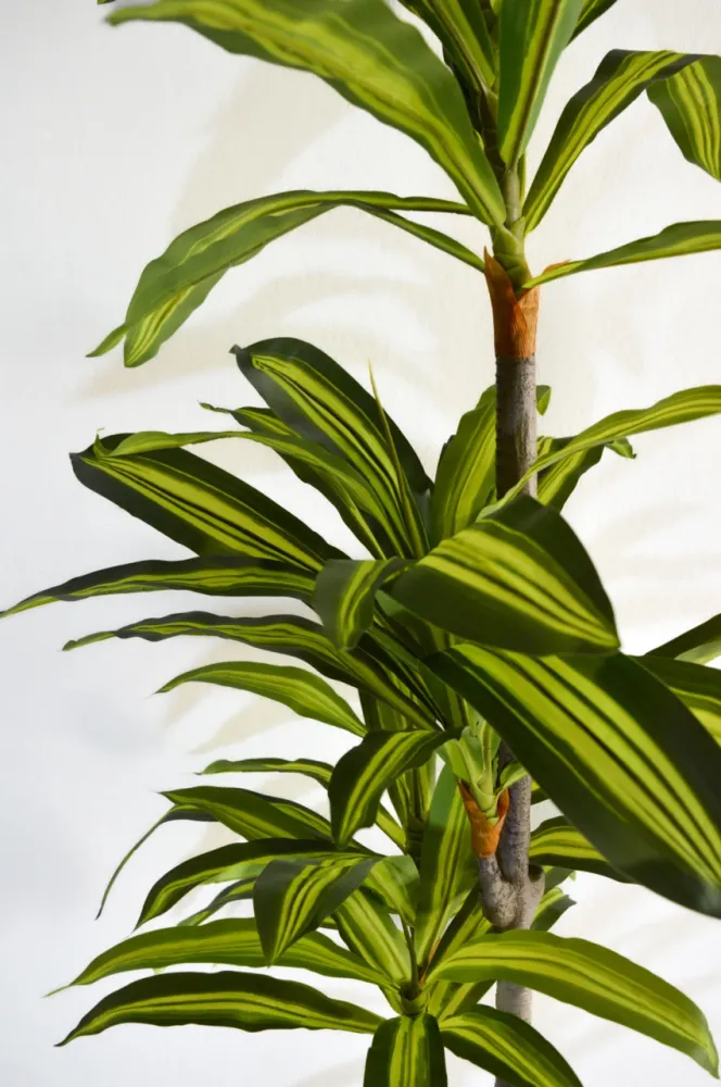 Planta Artificial Dracaena 180 cm - Drácena Artificial Material Reciclado