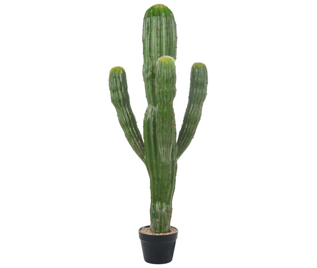 Planta artificial MAROCCO CEREUS Verde en Rollo de 2x5 Metros