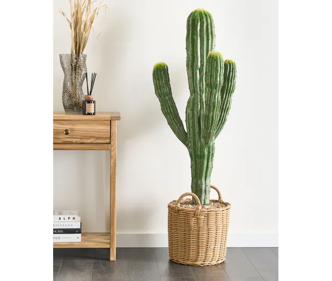 Planta artificial MAROCCO CEREUS Verde en Rollo de 2x5 Metros