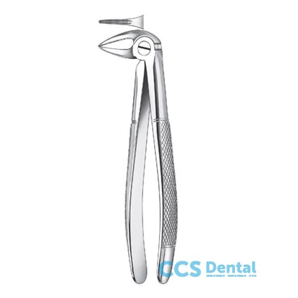 133 1/2 Forceps Raices Infer.