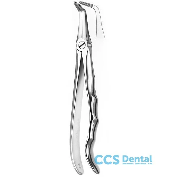 346 Forceps Raices Sup.M/Anat.