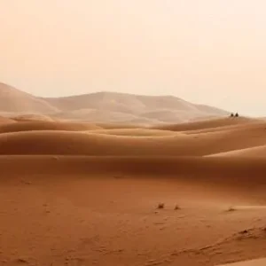 Antideslizante Césped En El Desierto