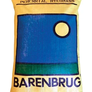 Ace Green Turf - Raigrás perenne en bolsa de 25 lb. Barenbrug