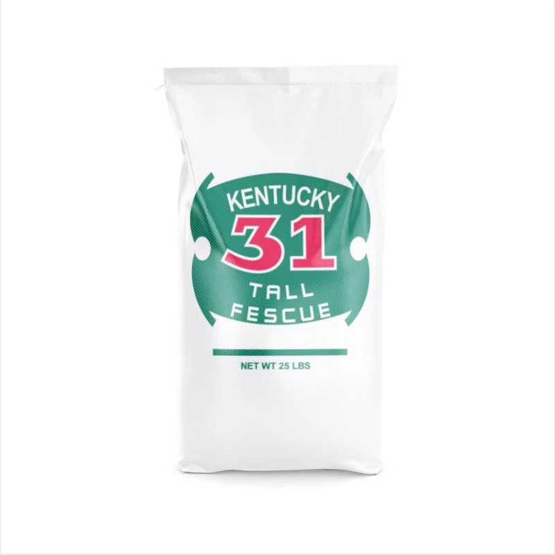 Semillas de césped para sol o sombra Barenbrug Kentucky 31 Tall Festuca Grass 25 lb