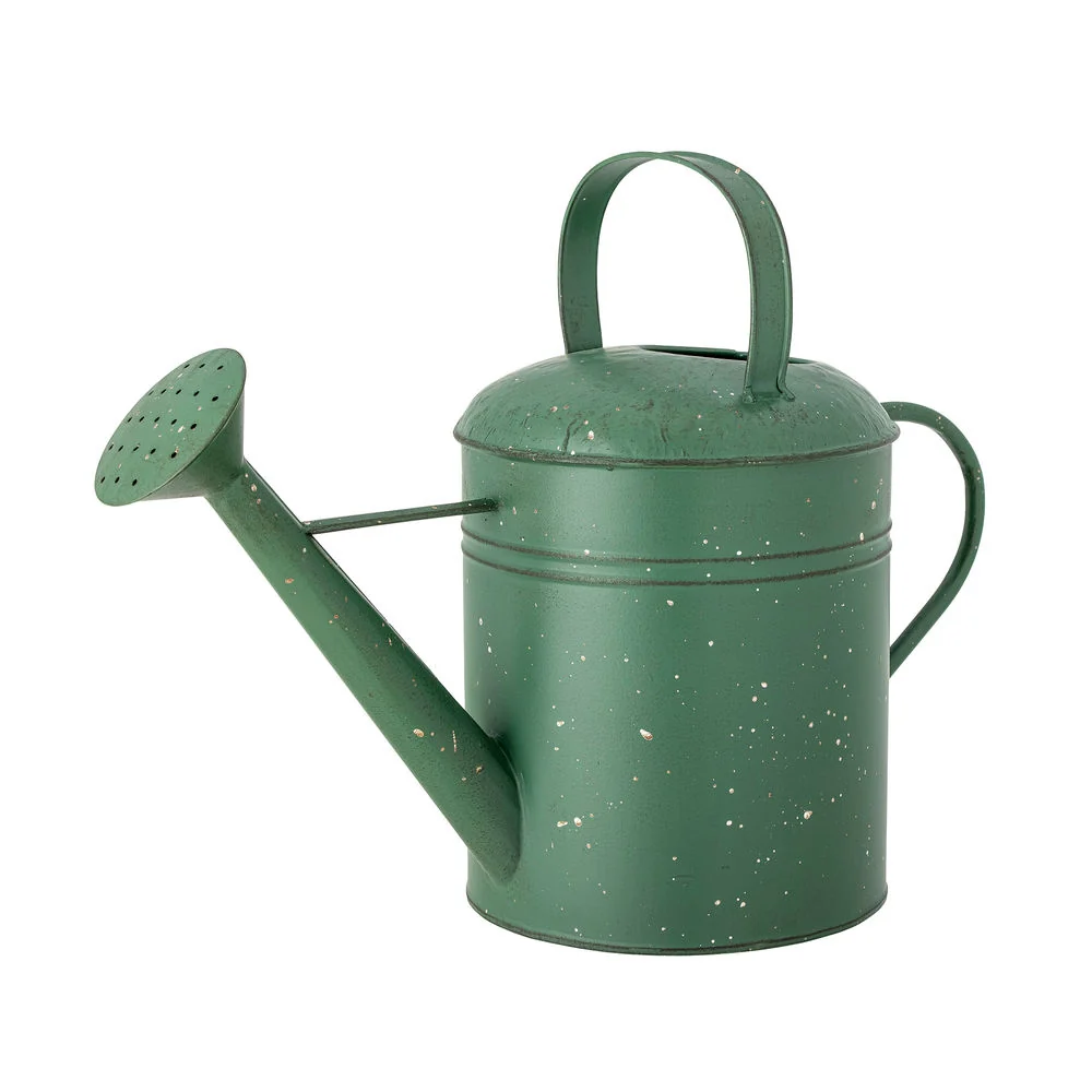 Creative Collection Anemone regadera, verde, acero Set de 4 Piezas