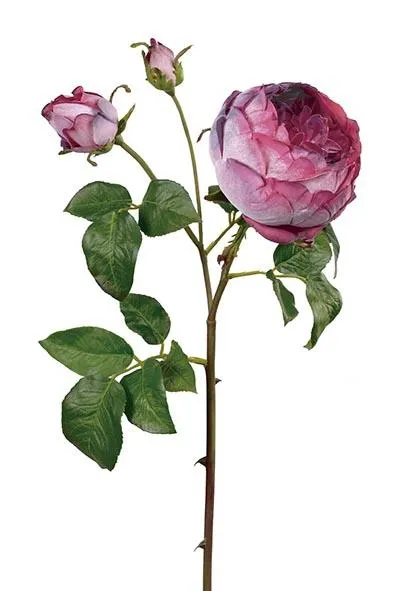 Césped Artificial Rosa Inglesa cereza