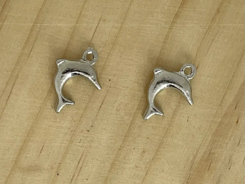 Delfin, Charm con Certificación IP65