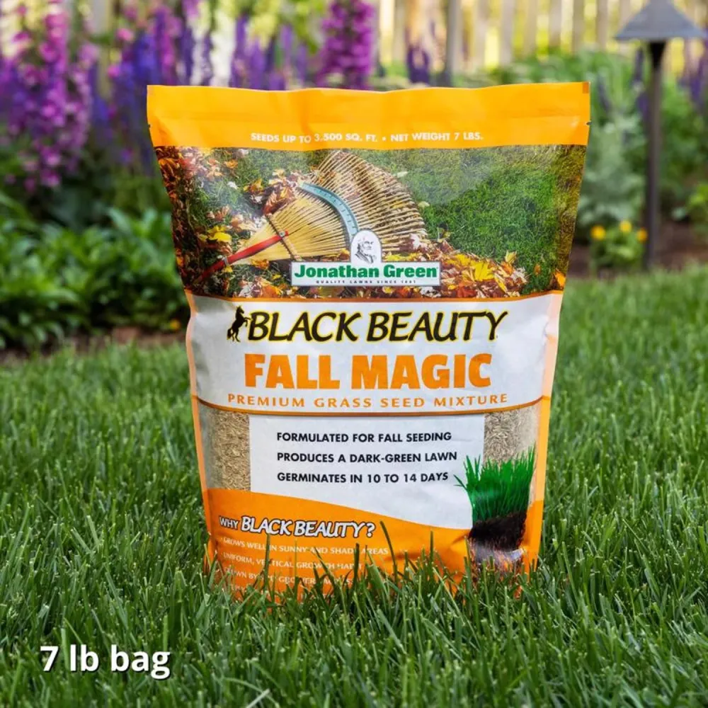 Semillas de césped Black Beauty® Fall Magic de 7 libras Jonathan Green