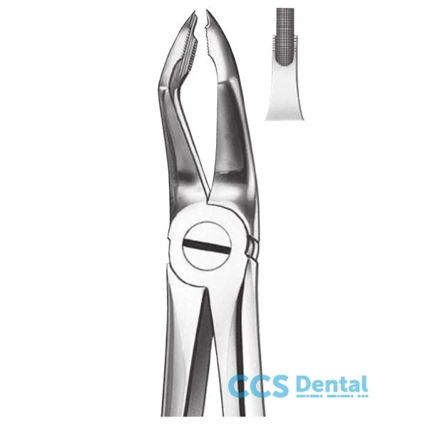 M117 Forceps Molares Eminente.